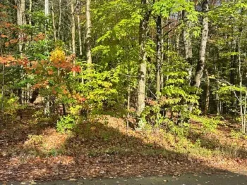 Property at Silverstone Road, Russia, NY 13438