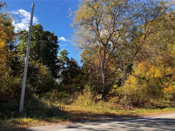 Property at 2295 Gowanda Zoar Road, Collins, NY 14070