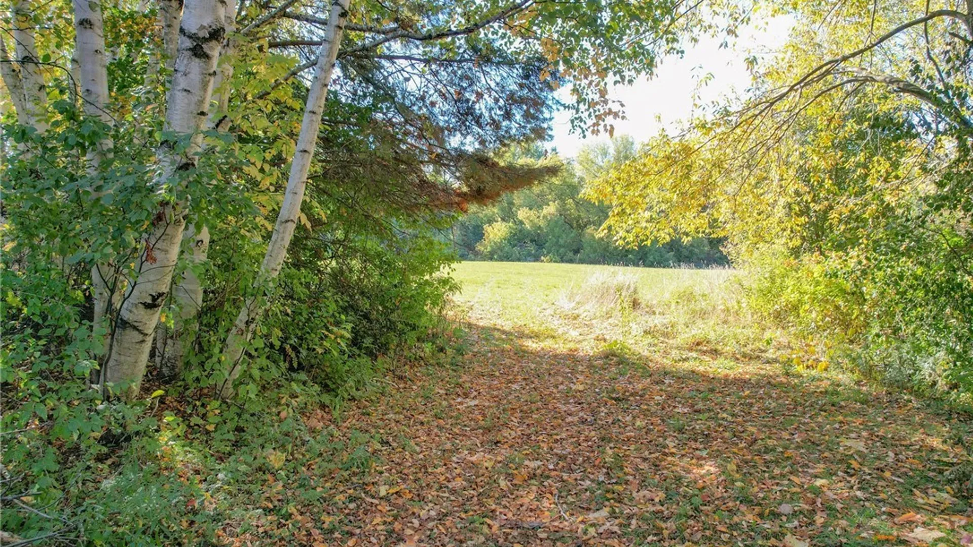 Property at 8883 US Route 11, Ellisburg, NY 13605 12