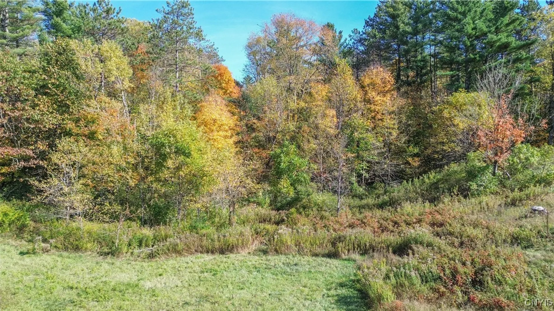 Property at 6864 State Route 3, Diana, NY 13665 8