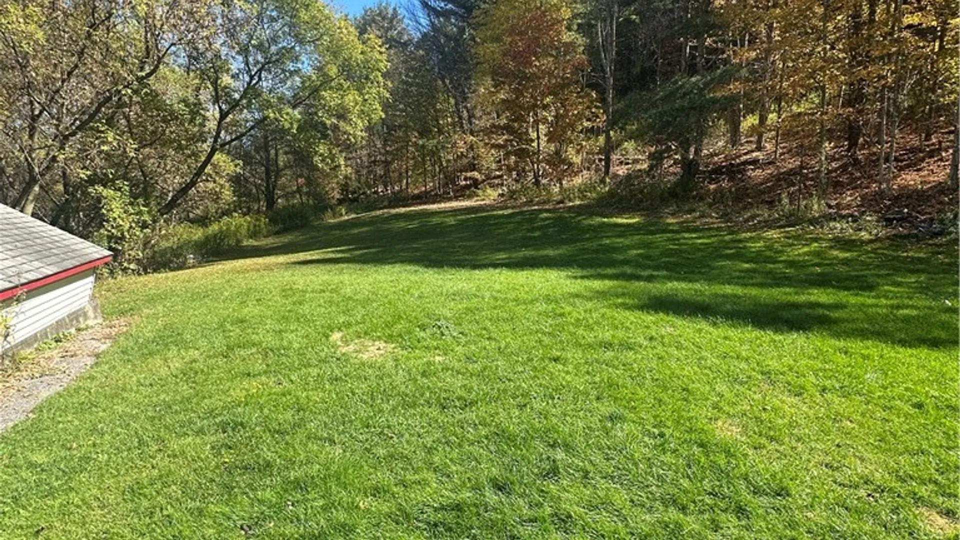 Property at 116 Cronk Road, Roxbury, NY 12474 6