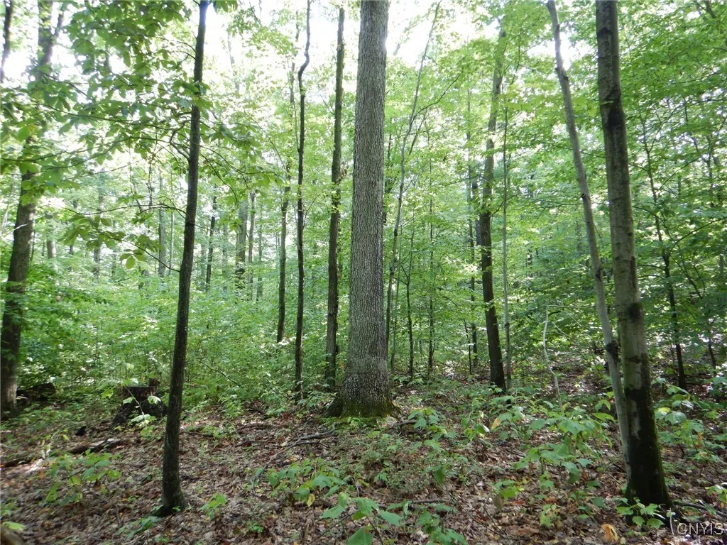 Property at Bull Hill Road, Newfield, NY 14867