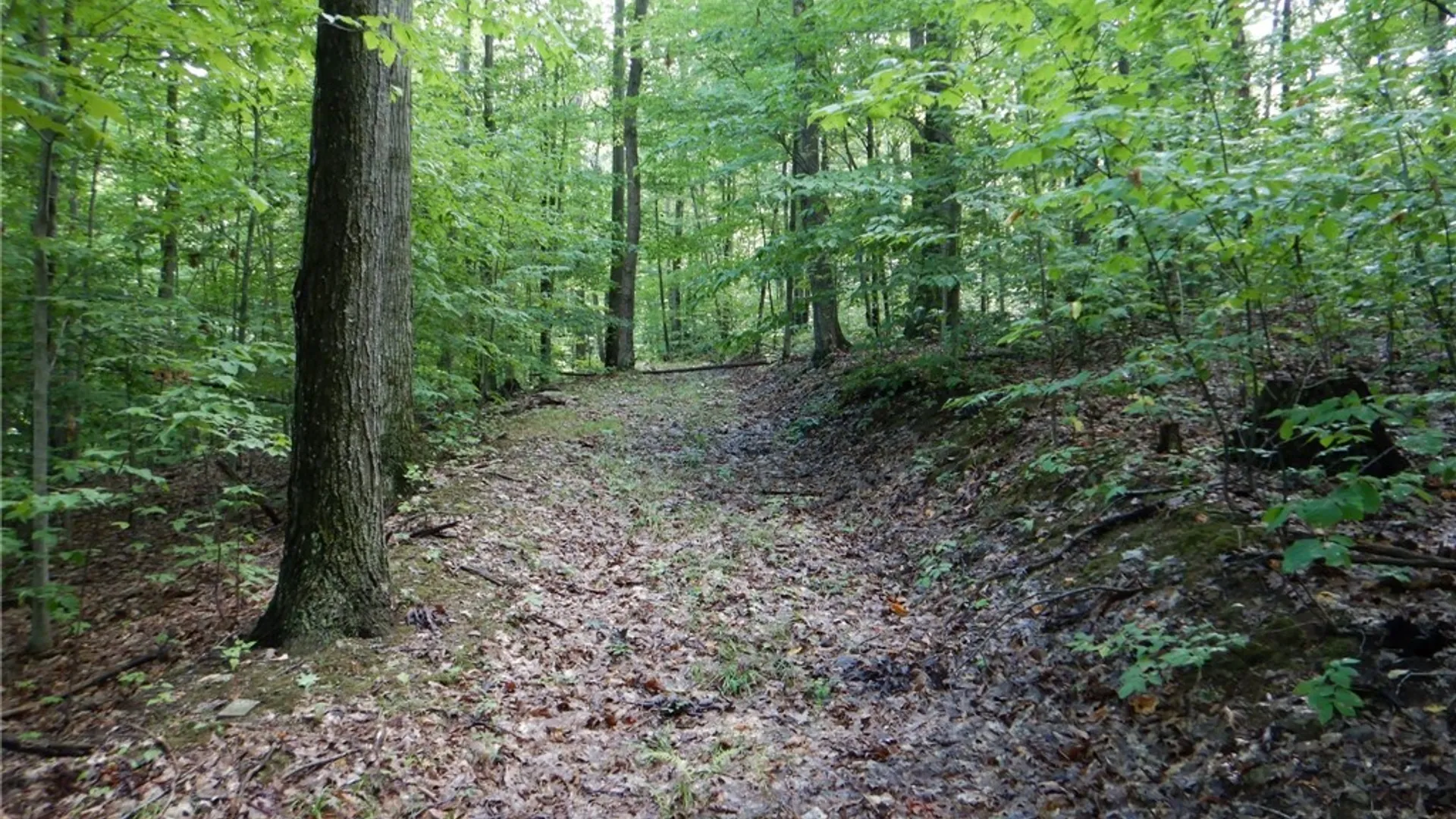 Property at Bull Hill Road, Newfield, NY 14867 16