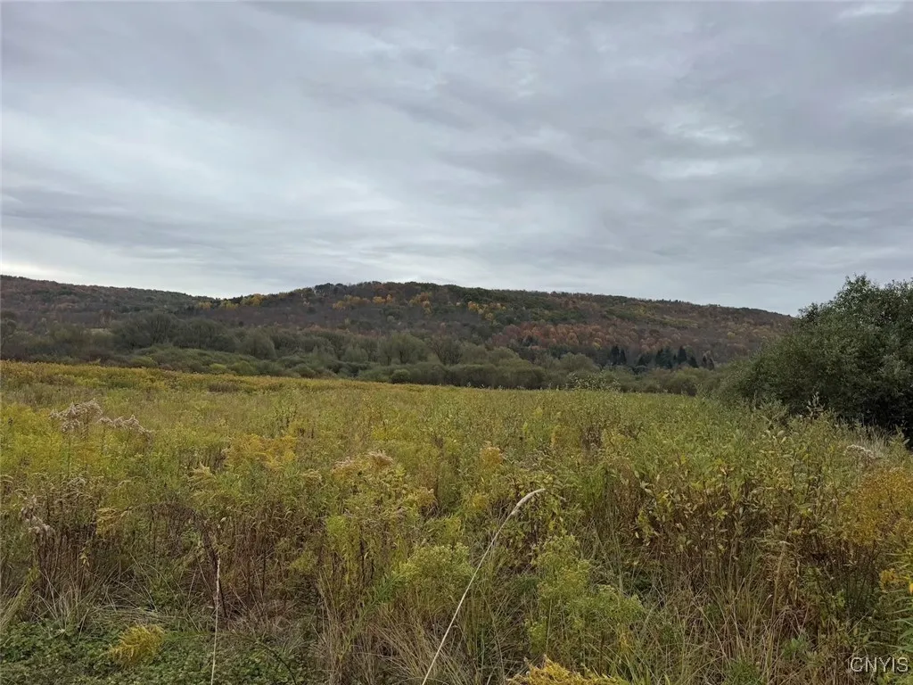 Property at Route 446, Hinsdale, NY 14743