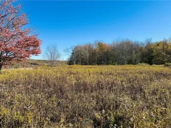 Property at 0 Macgibbon Road, Hamden, NY 13856
