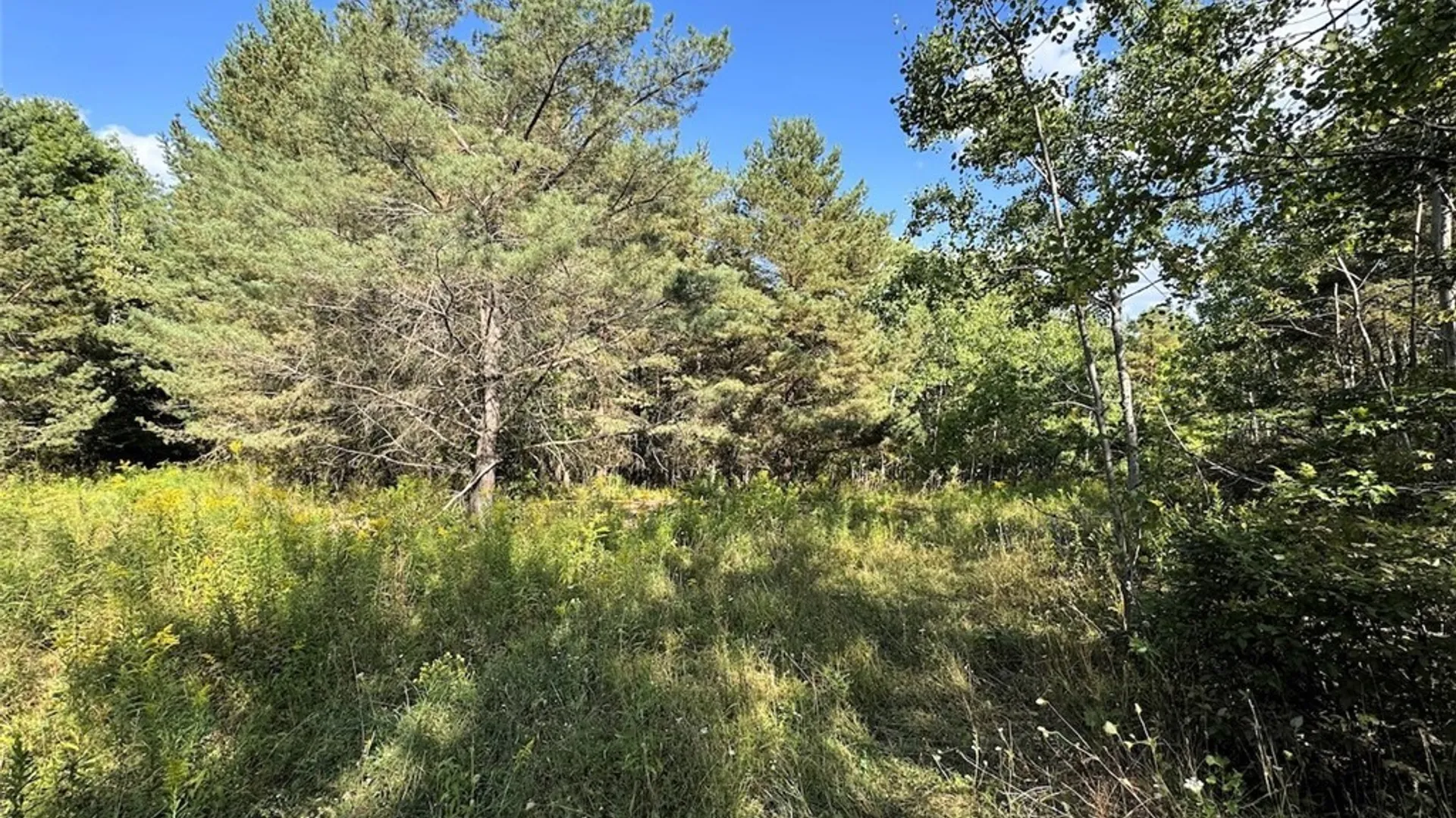 Property at 7250 Chrisler Road, Bath, NY 14879 27