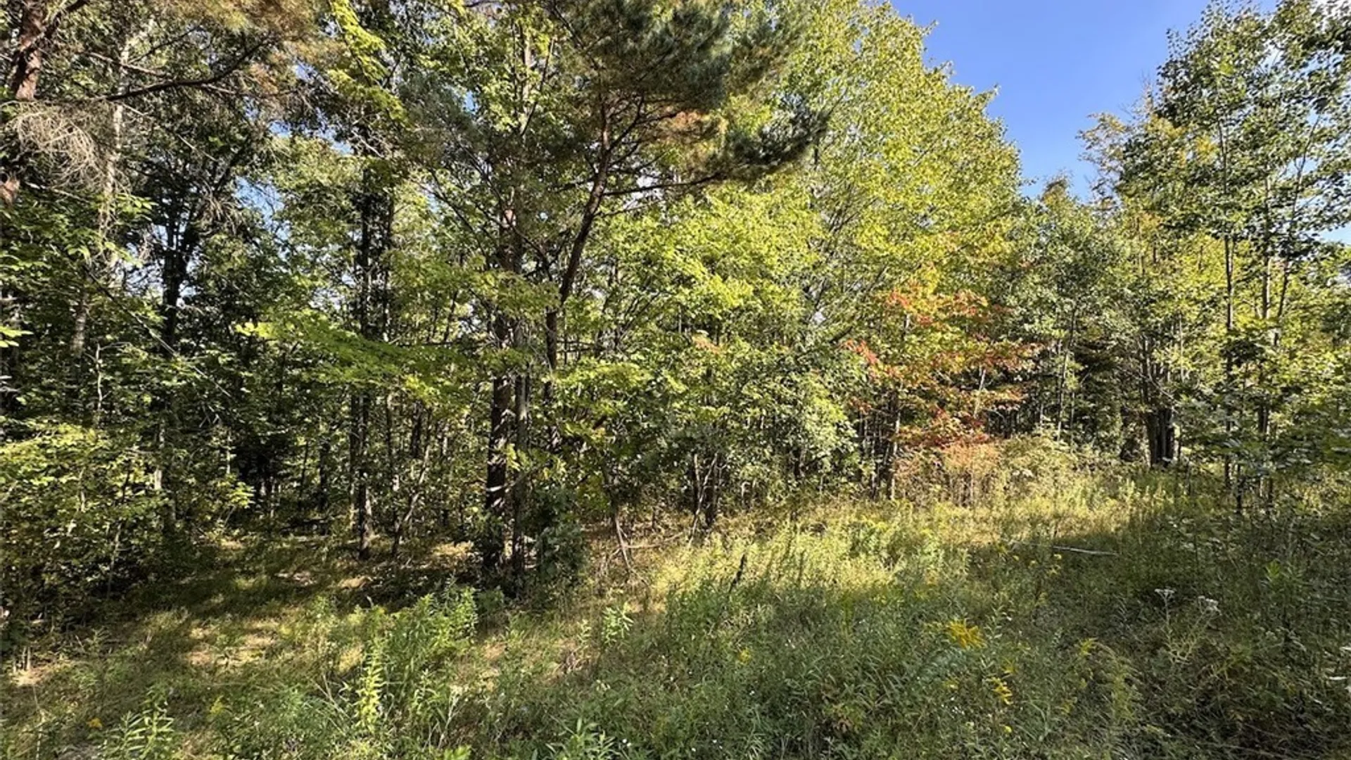 Property at 7250 Chrisler Road, Bath, NY 14879 28