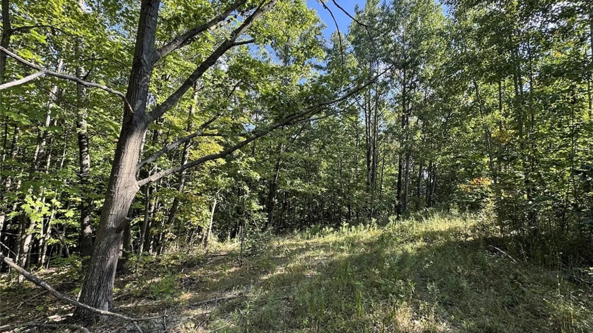 Property at 7250 Chrisler Road, Bath, NY 14879 29
