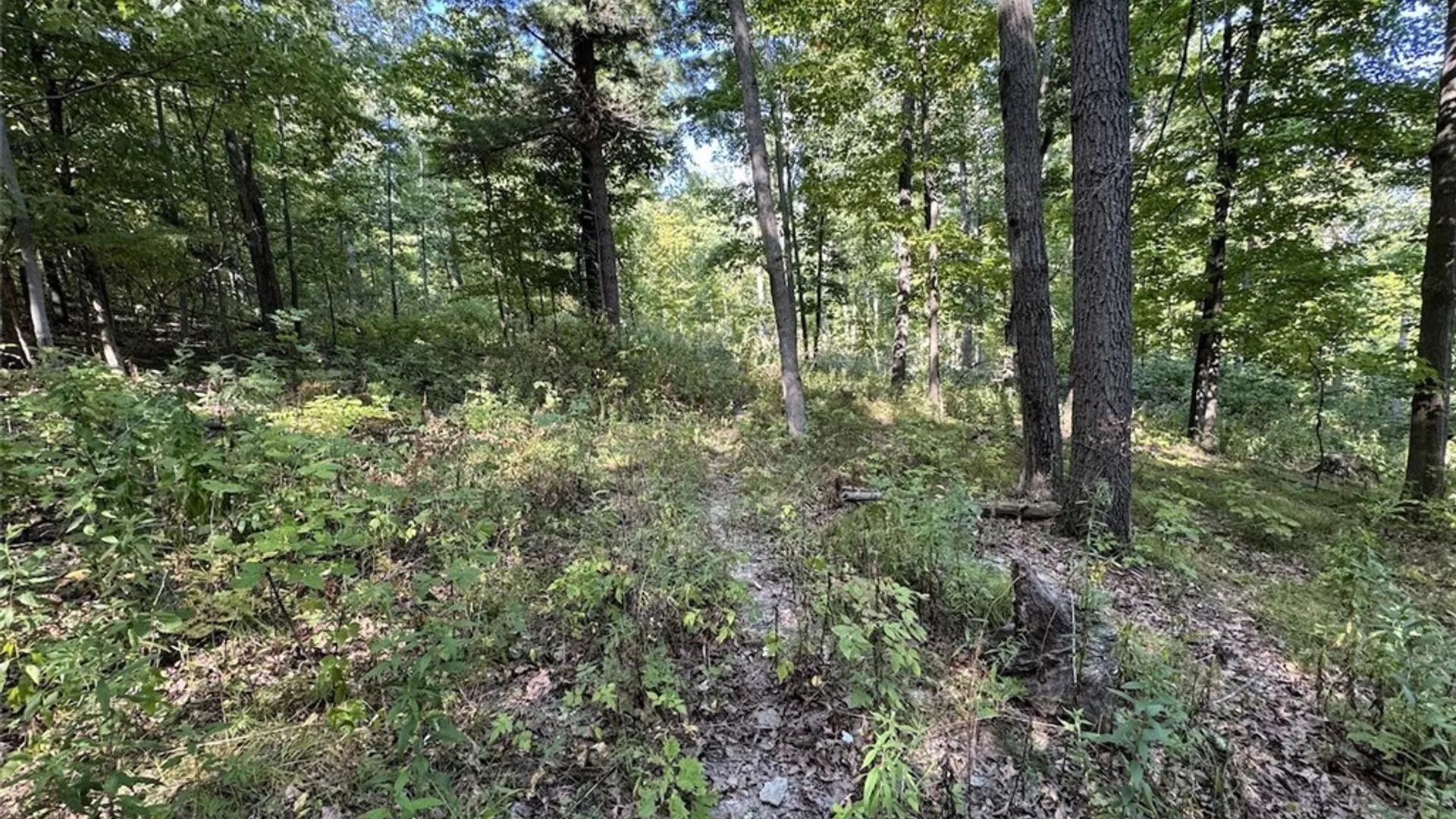 Property at 7250 Chrisler Road, Bath, NY 14879 31