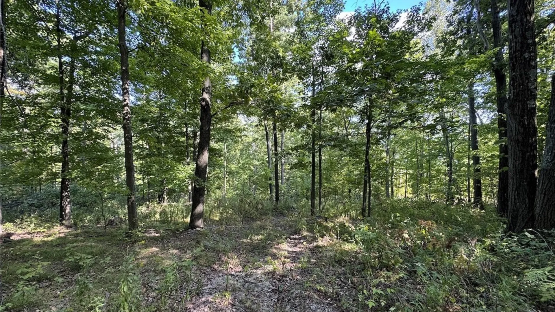Property at 7250 Chrisler Road, Bath, NY 14879 32