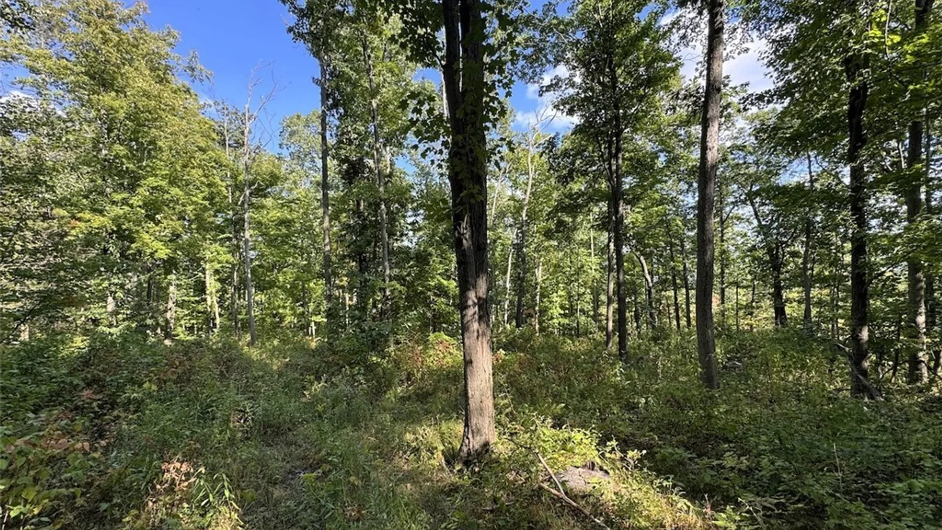 Property at 7250 Chrisler Road, Bath, NY 14879 33