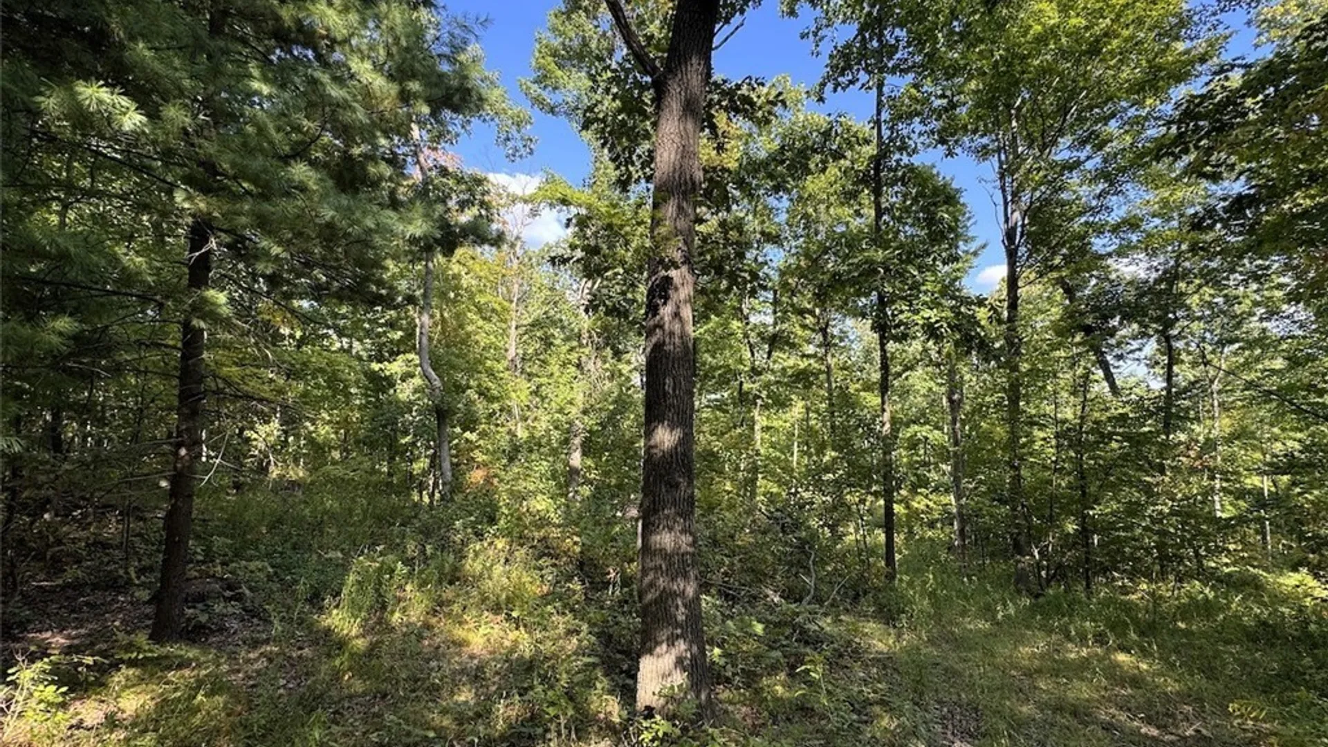 Property at 7250 Chrisler Road, Bath, NY 14879 34