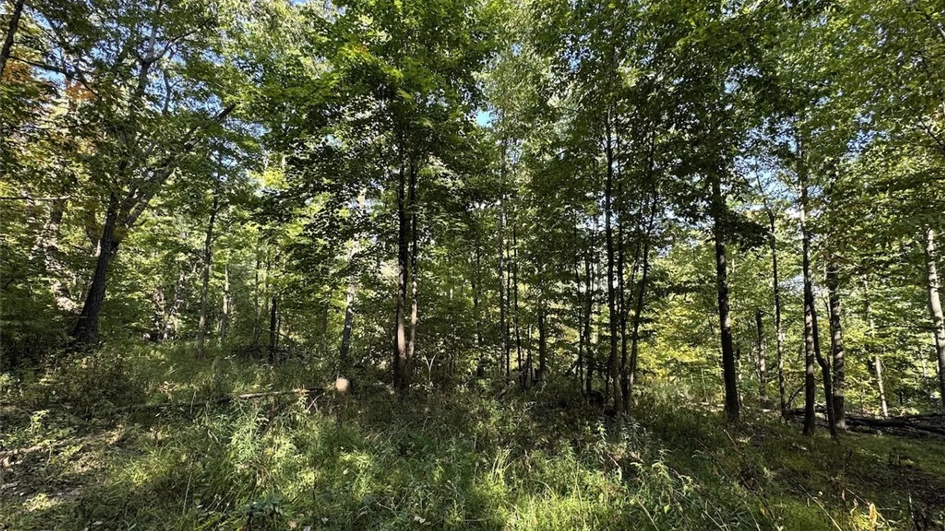 Property at 7250 Chrisler Road, Bath, NY 14879 35