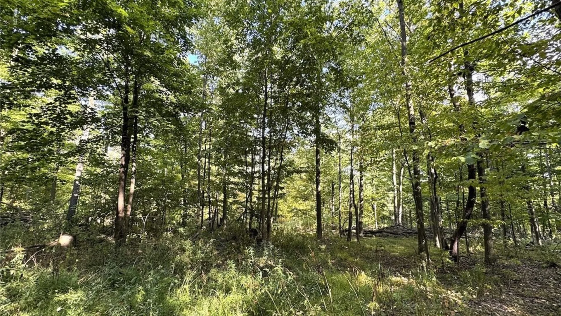 Property at 7250 Chrisler Road, Bath, NY 14879 36