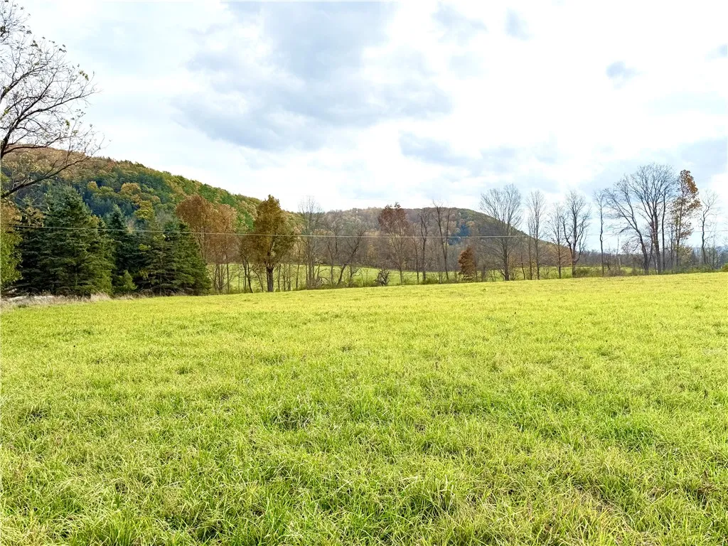 Property at 0 White Church Road, Caroline, NY 14817