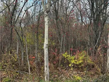 Property at Hinds Rd - Lot 2 - Purple, Pamelia, NY 13601