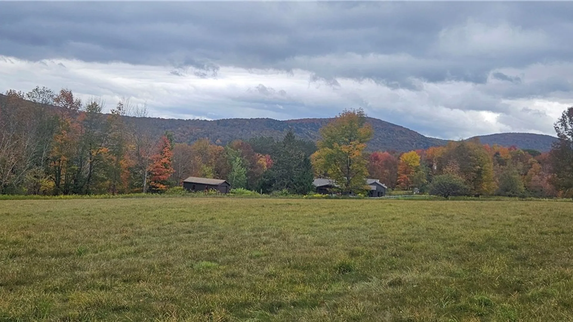 Property at 161 N Montgomery Hollow Road, Roxbury, NY 12474 10