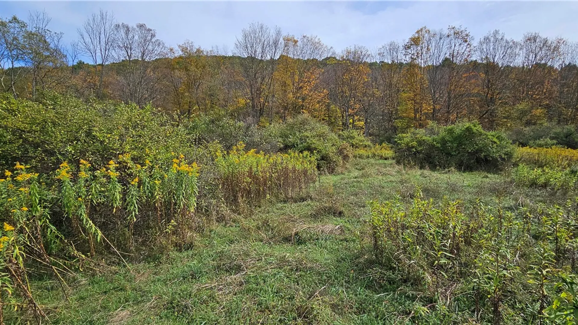Property at 161 N Montgomery Hollow Road, Roxbury, NY 12474 14