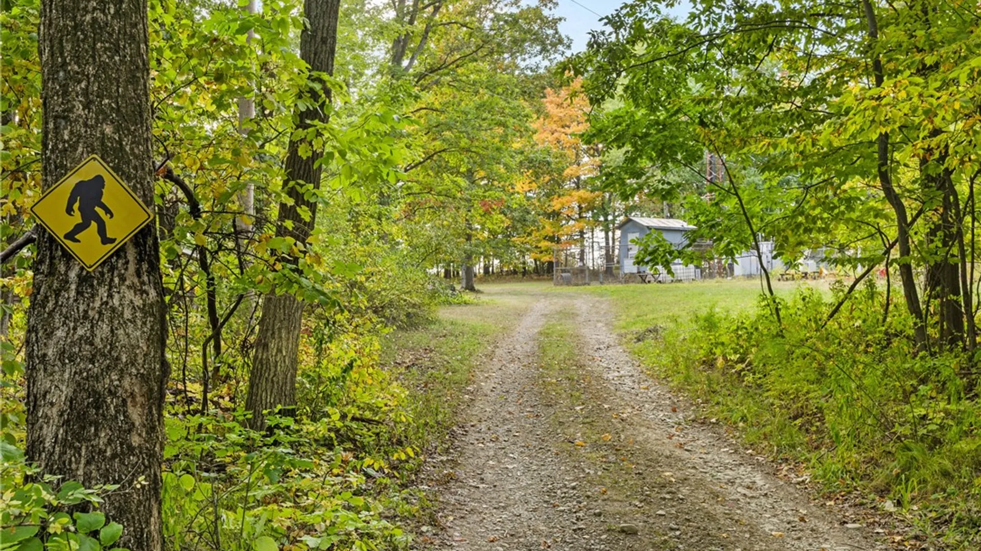 Property at 1910 Brush Road, Hartsville, NY 14843 16