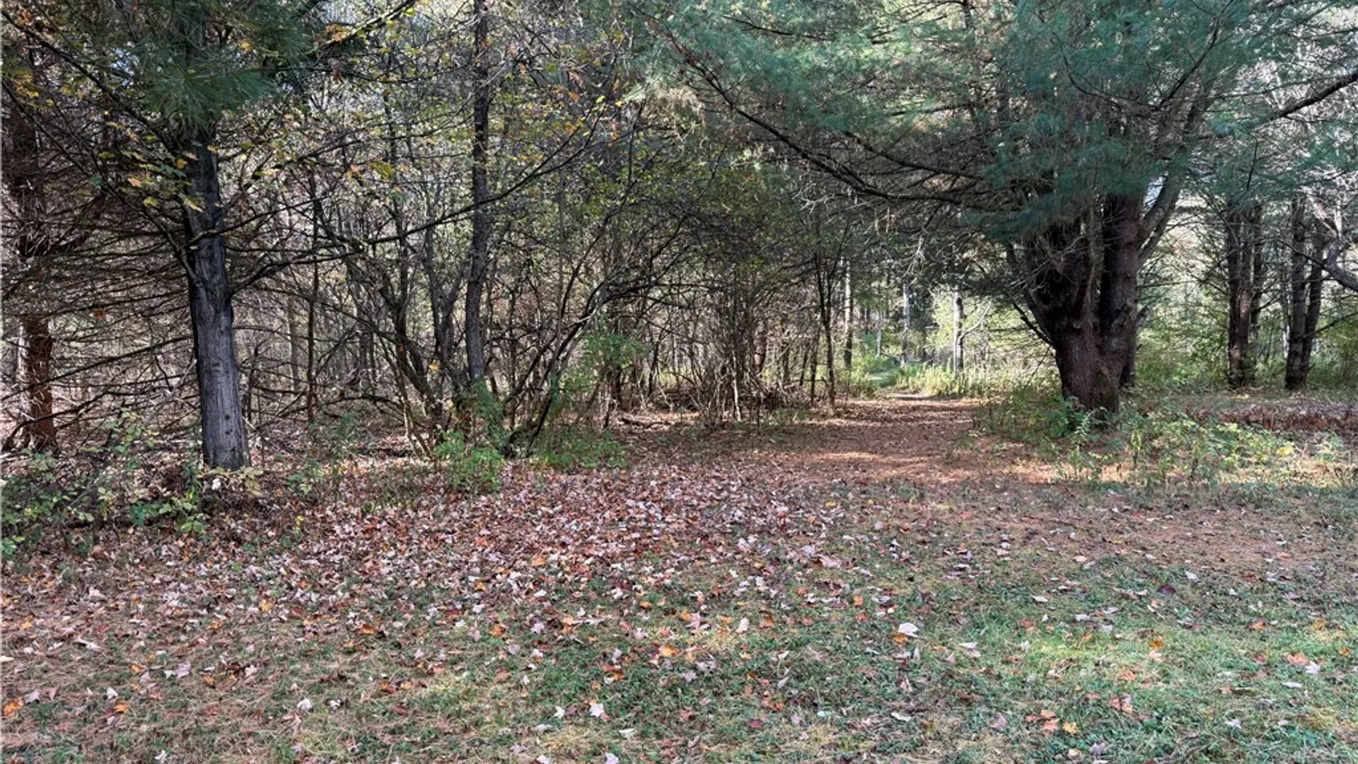 Property at 0 Gile Hollow Road, Ischua, NY 14743 12