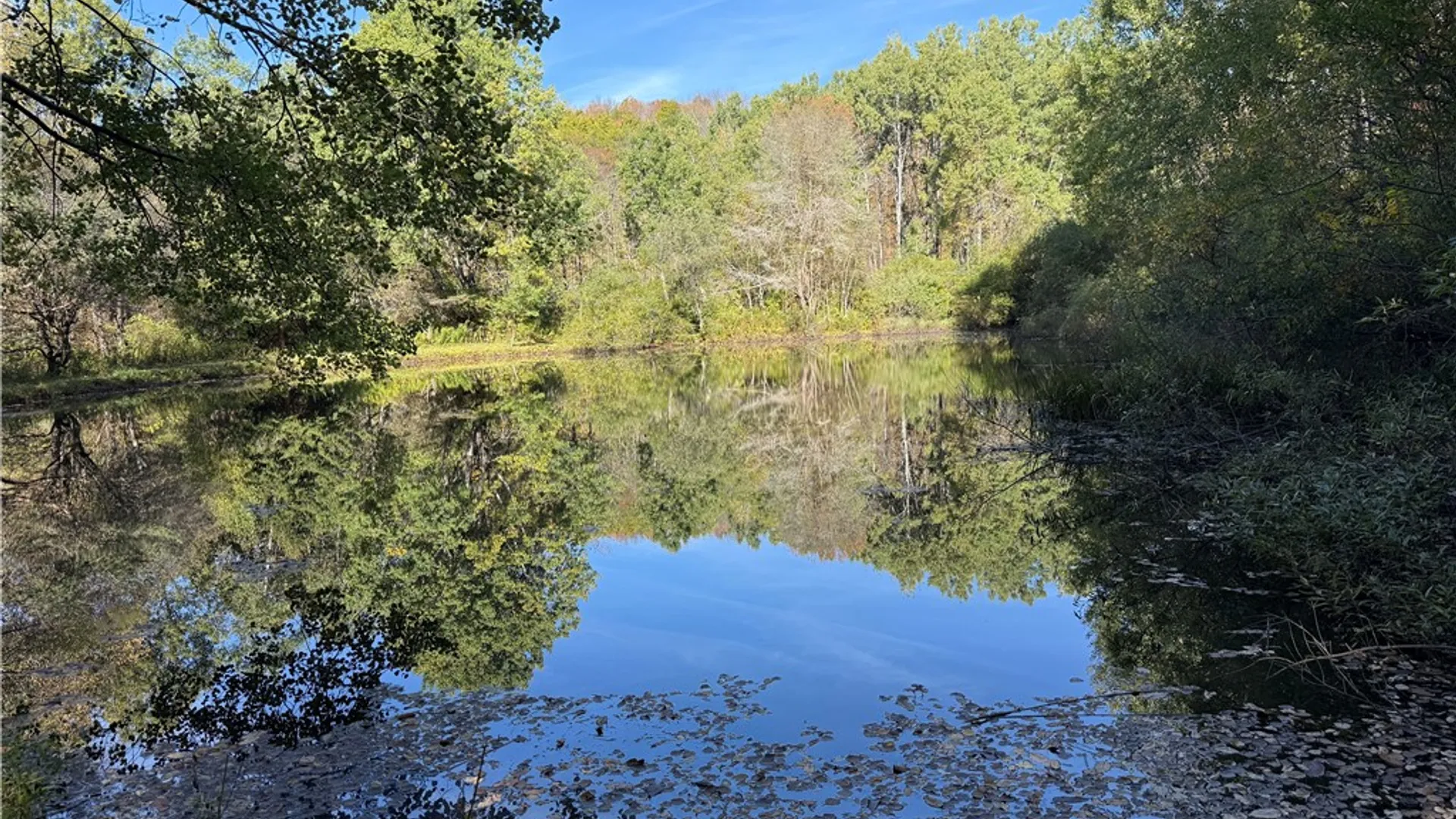Property at 0 Gile Hollow Road, Ischua, NY 14743 15