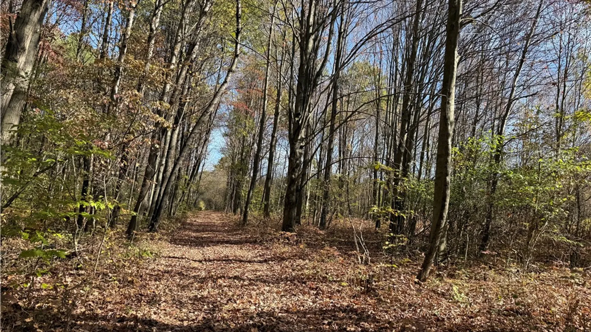 Property at 0 Gile Hollow Road, Ischua, NY 14743 20