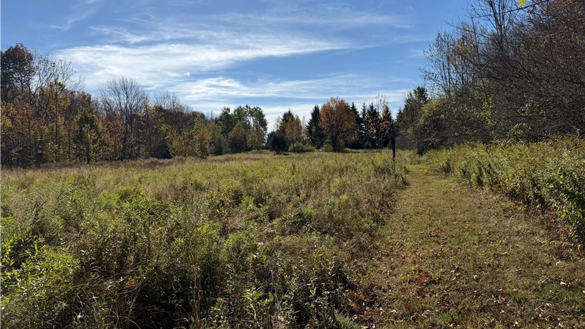 Property at 0 Gile Hollow Road, Ischua, NY 14743 21