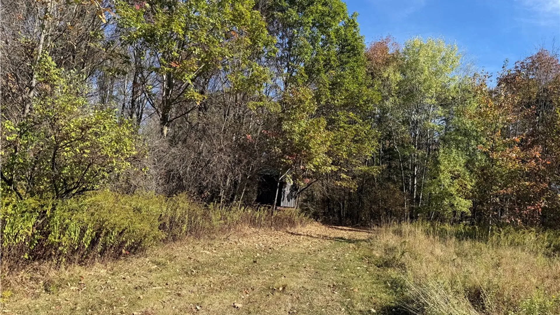 Property at 0 Gile Hollow Road, Ischua, NY 14743 22