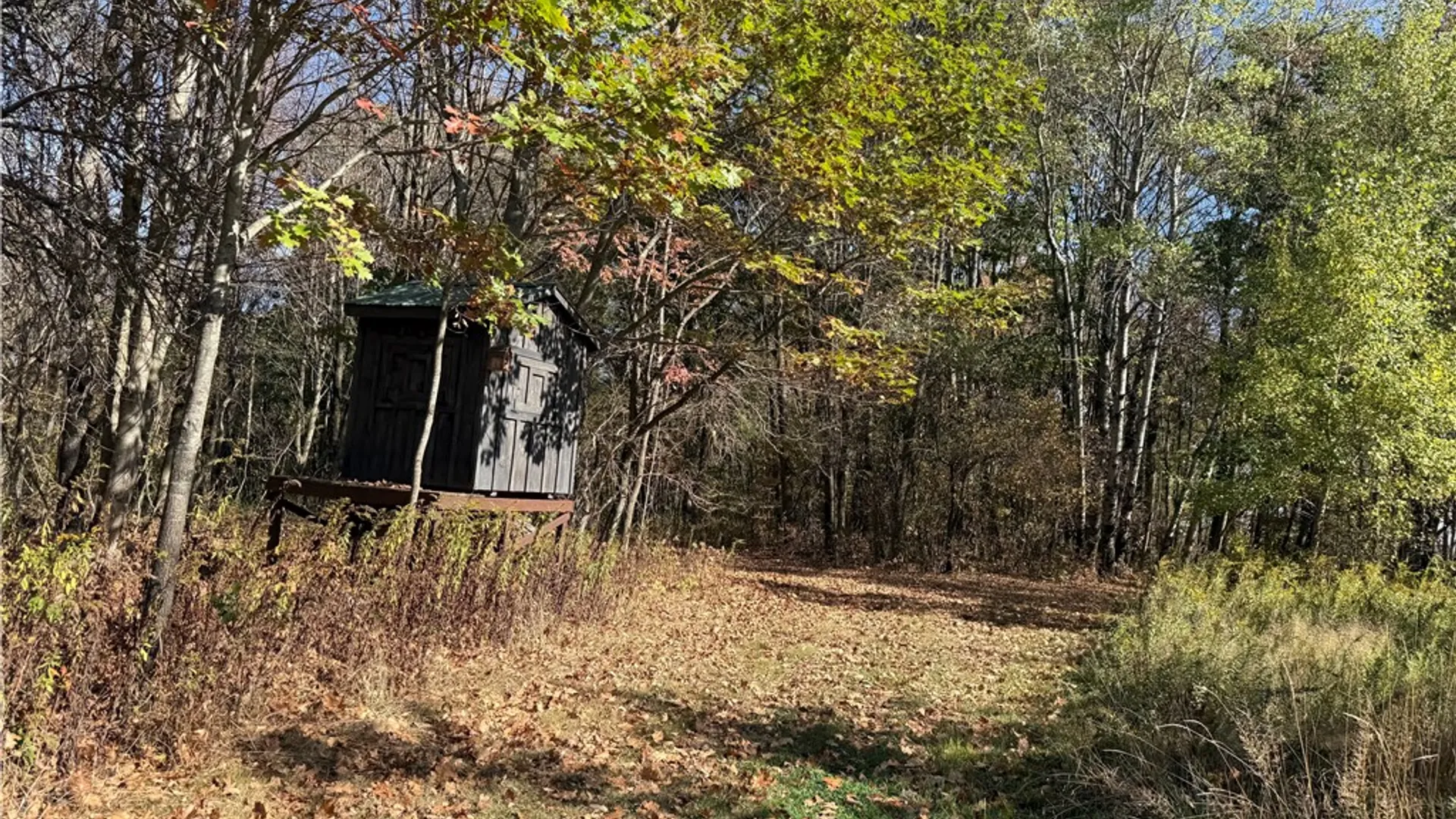 Property at 0 Gile Hollow Road, Ischua, NY 14743 23