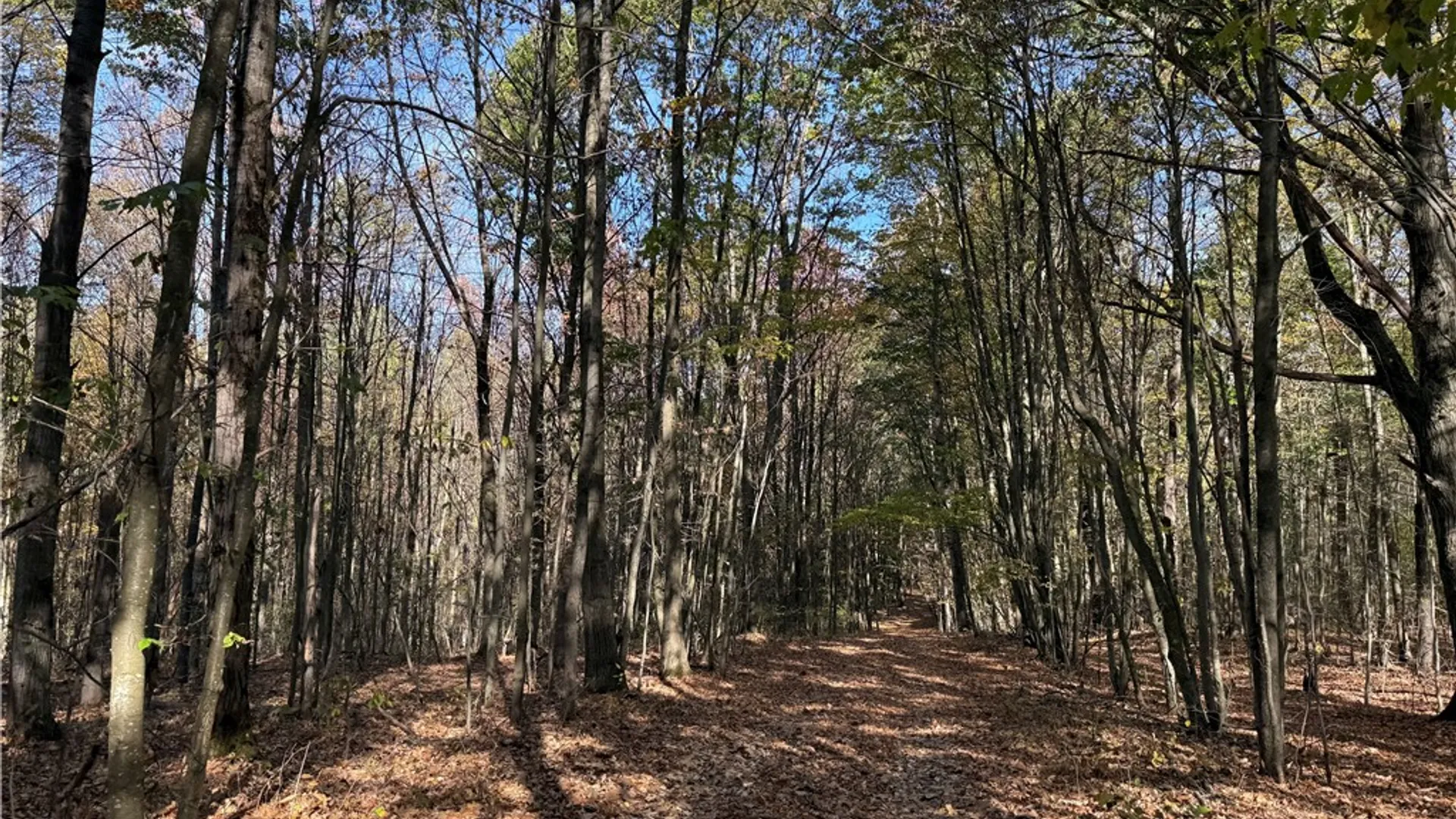 Property at 0 Gile Hollow Road, Ischua, NY 14743 24