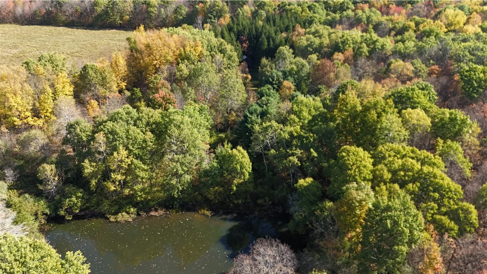 Property at 0 Gile Hollow Road, Ischua, NY 14743 28