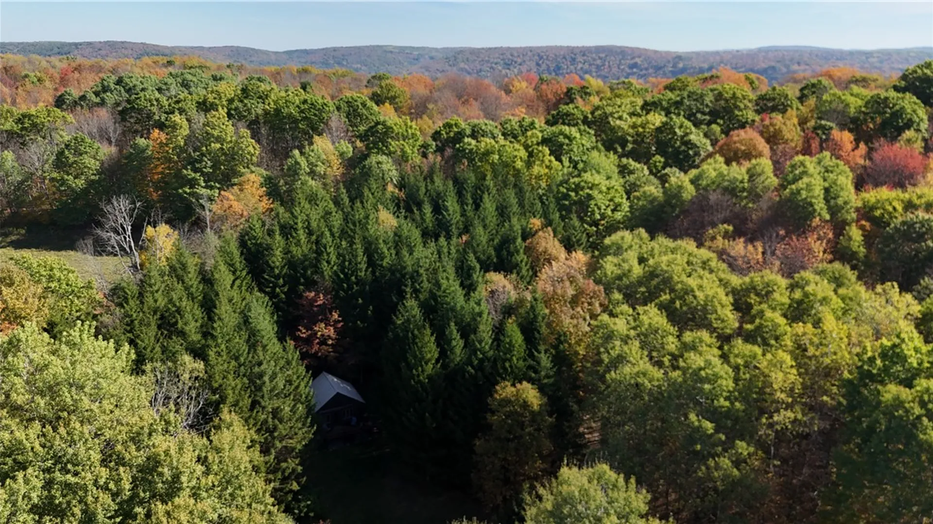 Property at 0 Gile Hollow Road, Ischua, NY 14743 29
