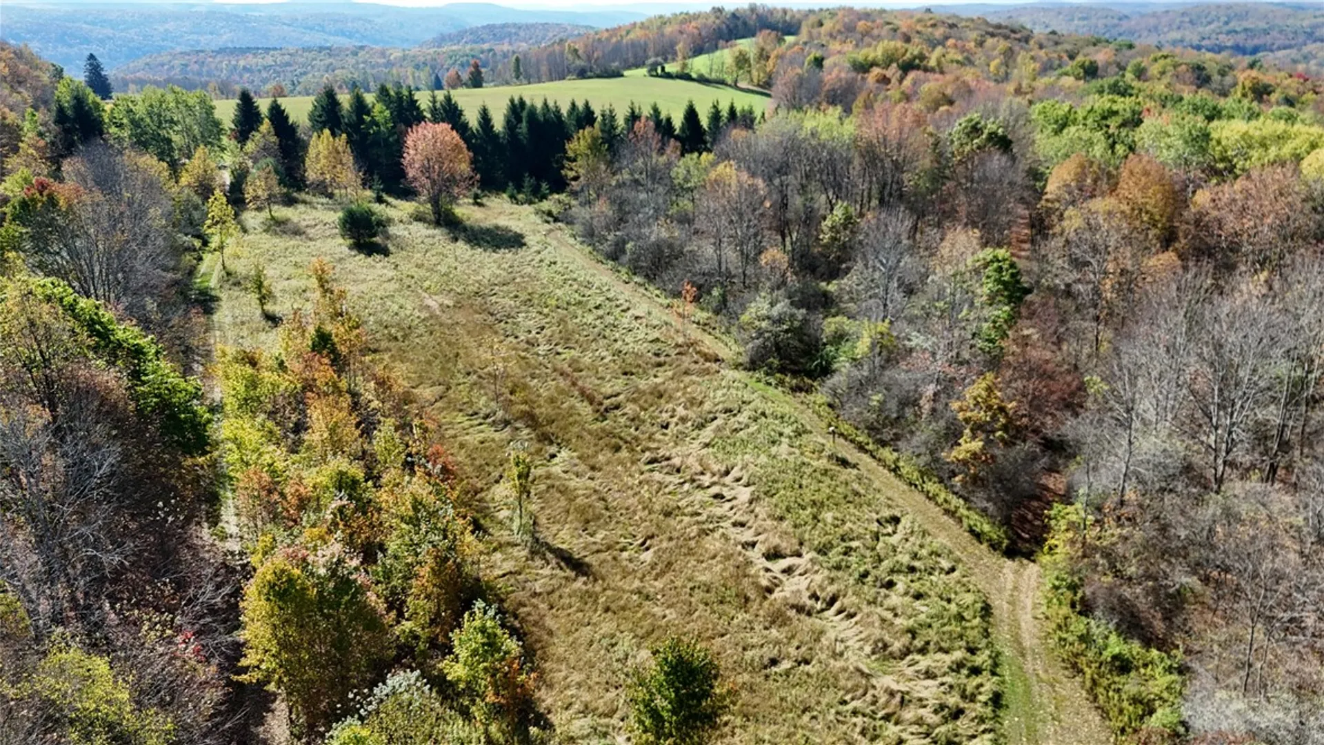 Property at 0 Gile Hollow Road, Ischua, NY 14743 31