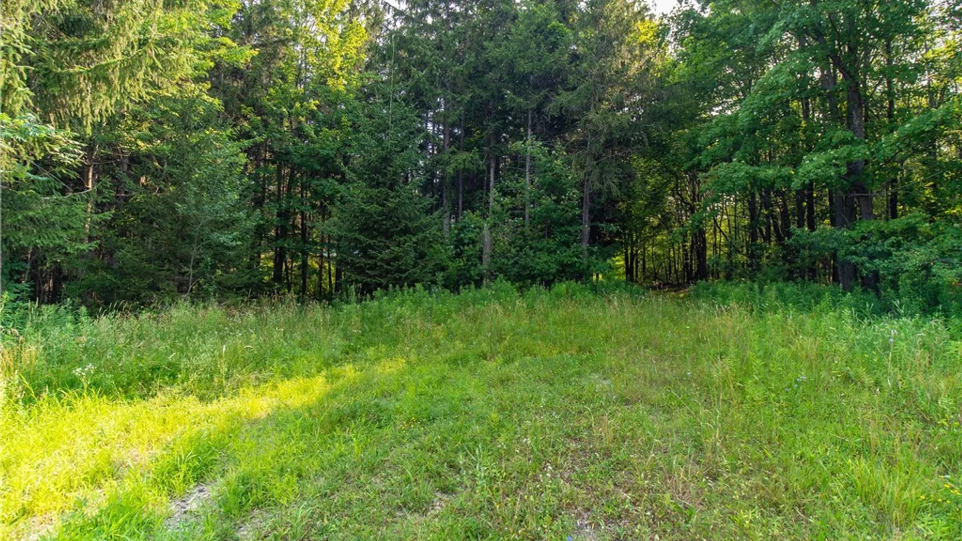 Property at 8170 Campbell Road, Portland, NY 14769 7