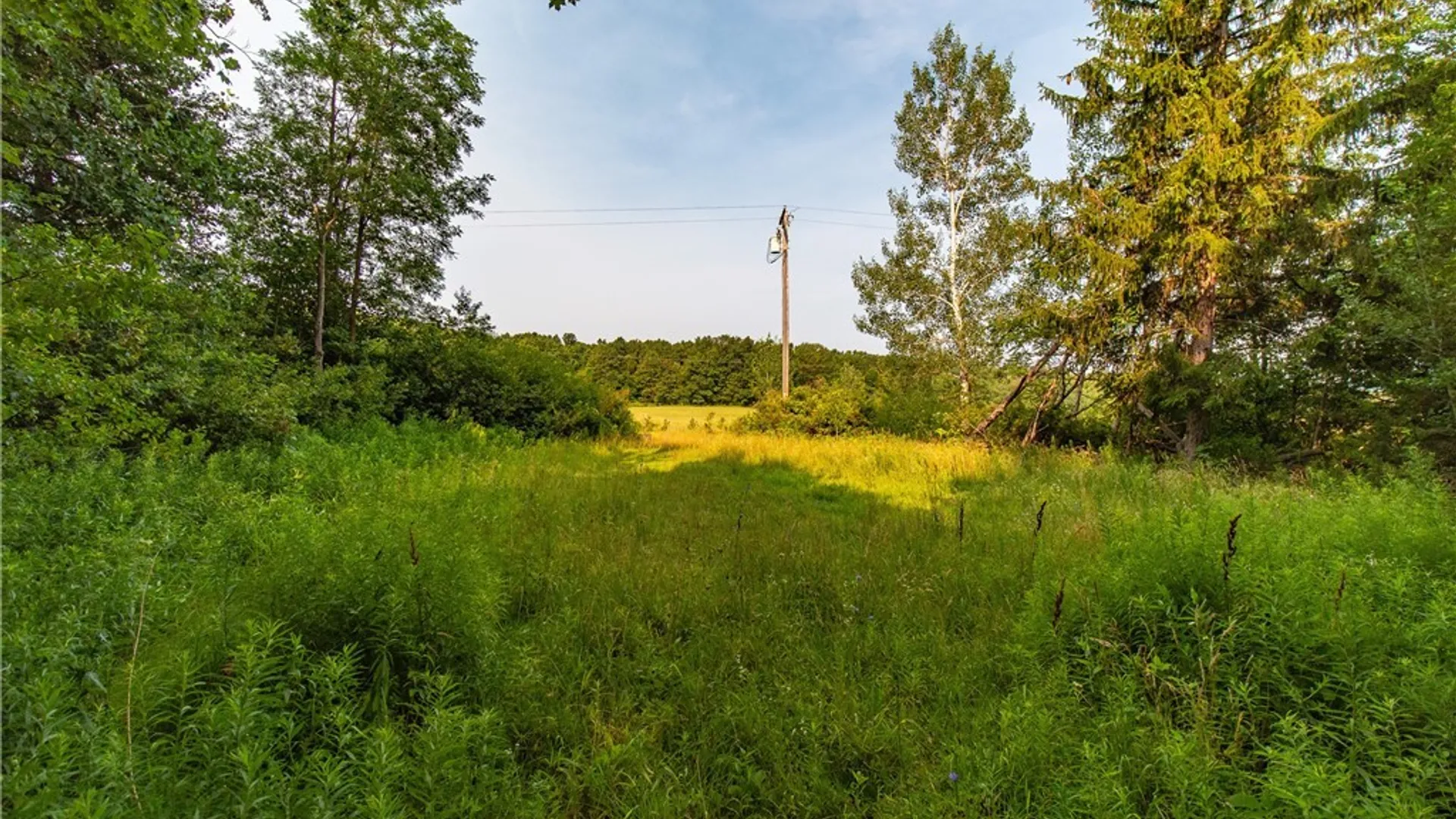 Property at 8170 Campbell Road, Portland, NY 14769 9