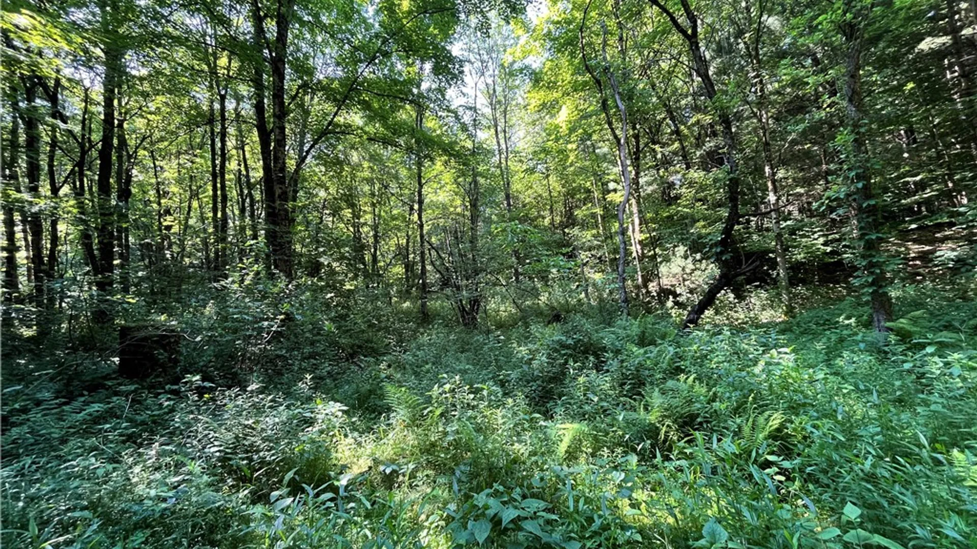 Property at 357 Cable Road, Amboy, NY 13493 23