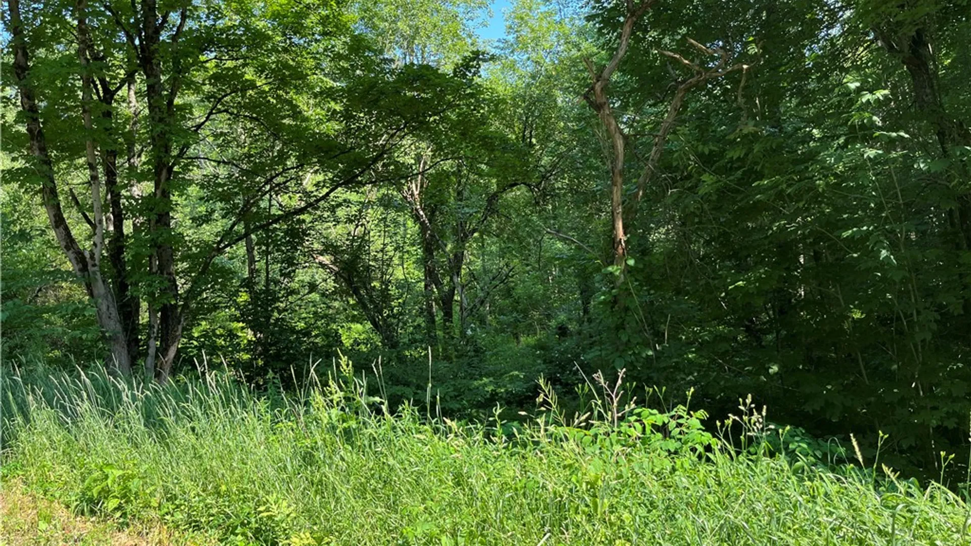 Property at 357 Cable Road, Amboy, NY 13493 35