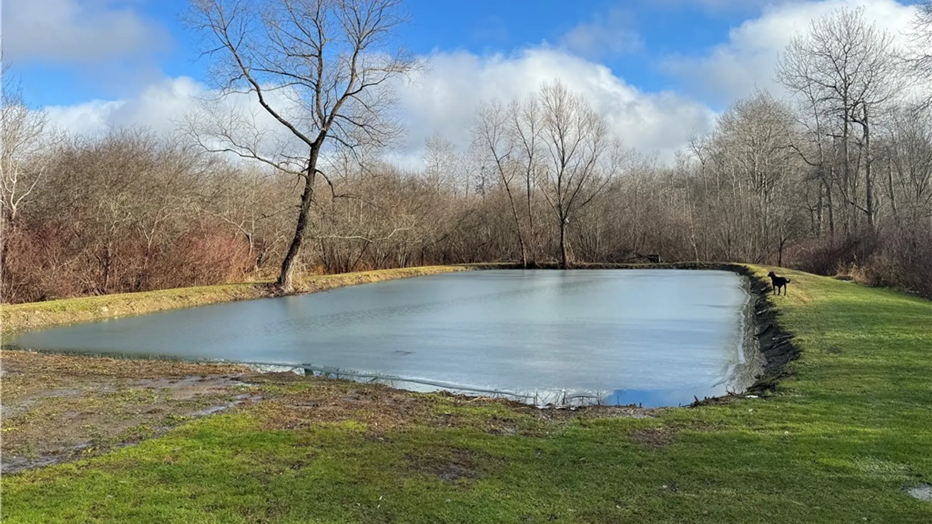 Property at 4092 Fluvanna Townline Road, Gerry, NY 14701 32