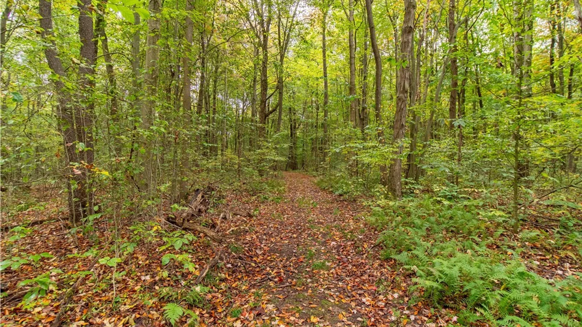 Property at 4092 Fluvanna Townline Road, Gerry, NY 14701 34