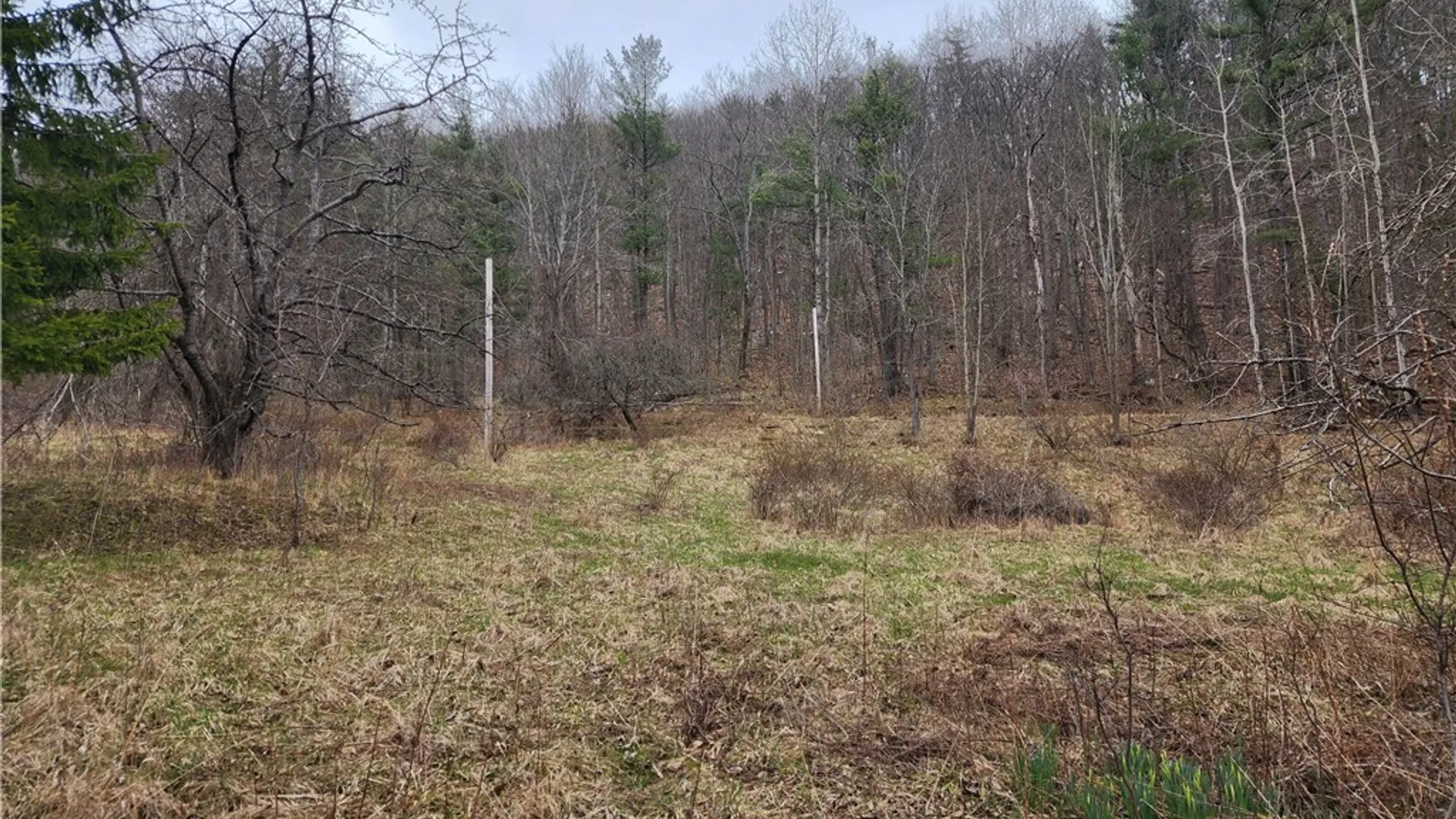 Property at 6220 Feenaughty Hill Road, Howard, NY 14823 4