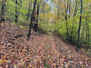 Property at Co Rd 5, Genesee, NY 14770