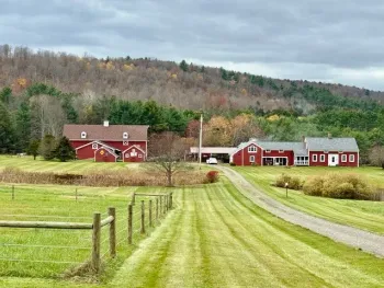 Property at 377 Stead Road, Norwich, NY 13843
