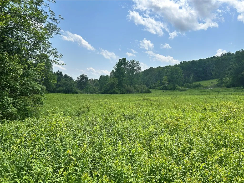 Property at Lot 3 Oregon Road, Butternuts, NY 13776