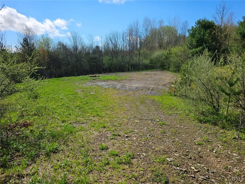 Property at 3587 Gillies Hill Road Lot 7, Birdsall, NY 14822