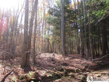 Property at Gordon Brook, Scio, NY 14880