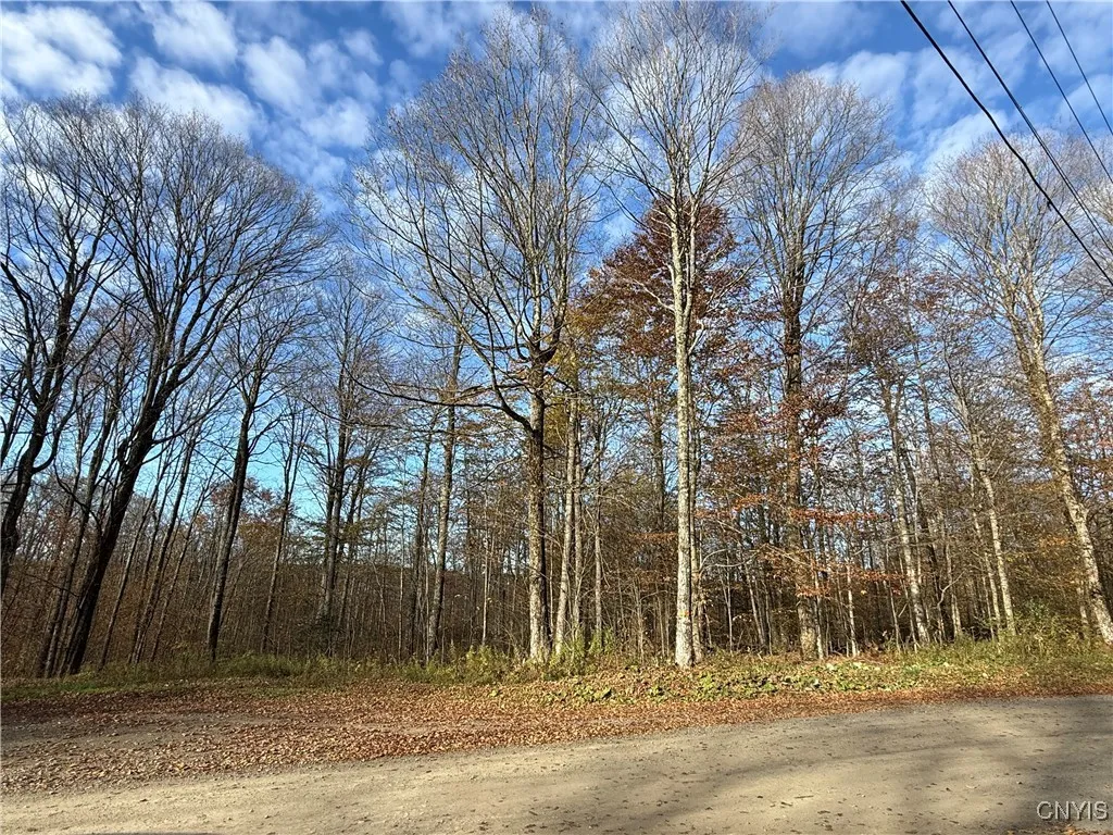 Property at 00 Magpie Lane, Truxton, NY 13158