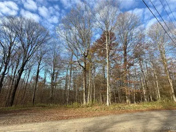 Property at 00 Magpie Lane, Truxton, NY 13158