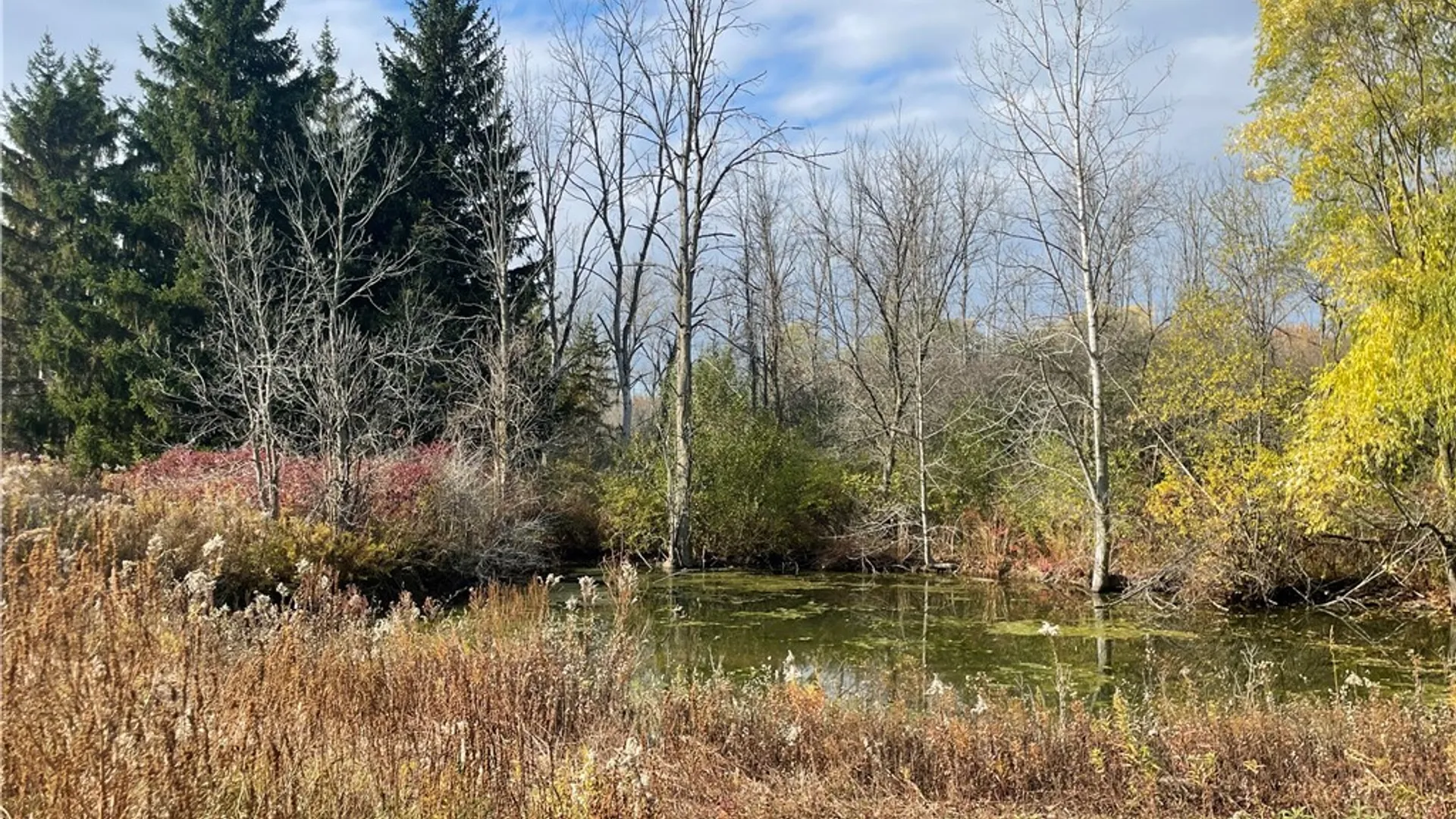Property at V/L  6721 Aiken Road, Pendleton, NY 14094 17