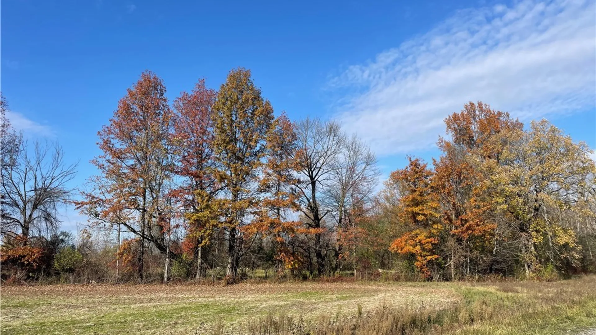 Property at 6721 Aiken Road, Pendleton, NY 14094 16