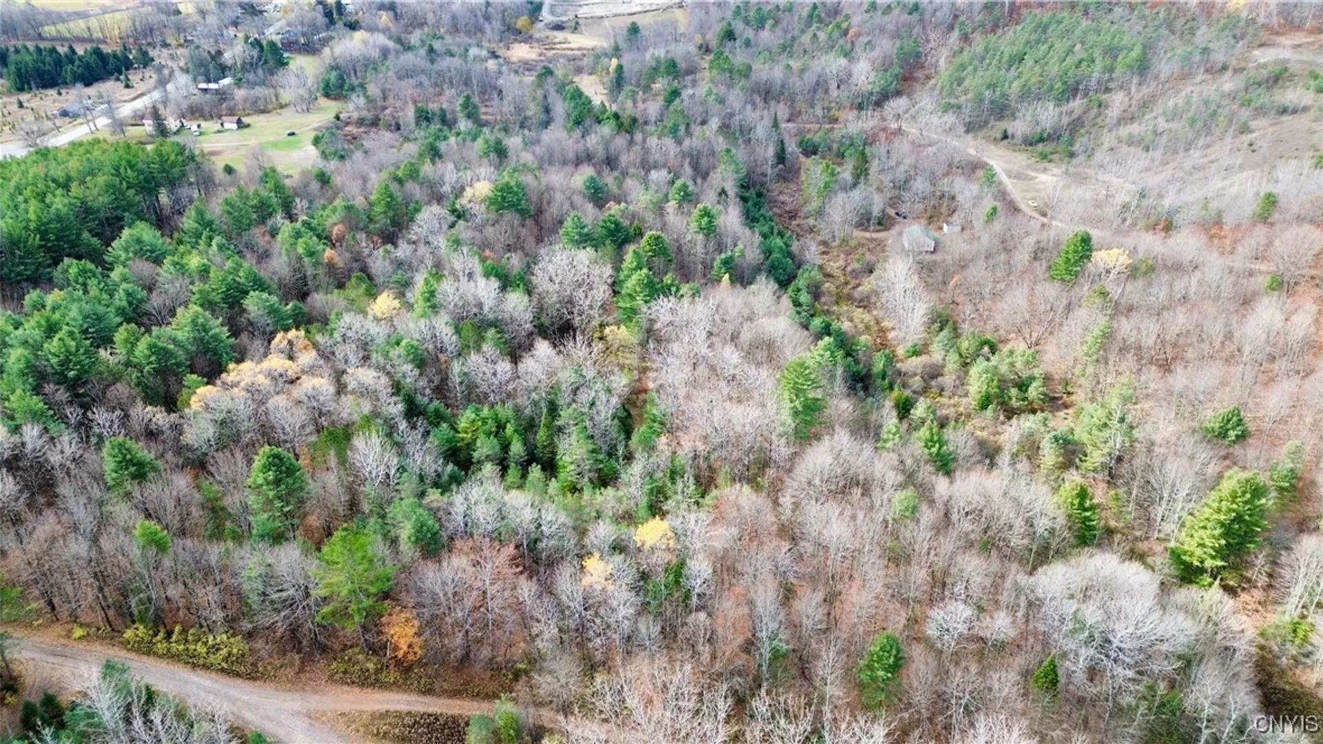 Property at Lot 3 & 4 Goldmine Tract, Salisbury, NY 13329 4